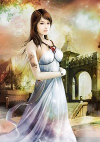 中華一號保鏢:極品高手