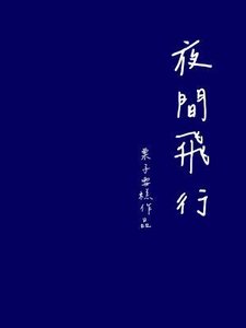夜间飞行