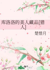 库洛洛的美人藏品[猎人]